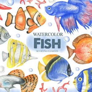 Watercolor Fish Clipart, Colorful Tropical Fish Clip Art, Sea Animals Clipart, Reef Fish, Ocean Life, Nautical PNG 94