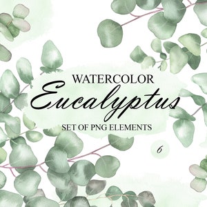 Watercolor Eucalyptus clipart, Greenery clip art, Eucalyptus bouquet, Green leaves, Floral clipart, Wedding invitation, PNG 335