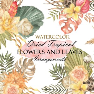 Aquarelle Boho arrangements floraux Clipart, bouquet de fleurs et de feuilles tropicales séchées Clip Art, mariage Boho, PNG 156