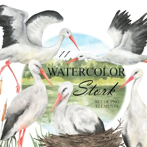 Watercolor storks clipart, Flying stork bird clip art, Stork in the nest, Watercolor bird, Hand painted birds, PNG 389