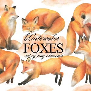 Aquarelle Fox Clipart, Animaux de la forêt, Renards peints, Woodland Animal Clip Art, Nursery Art, PNG 307