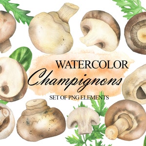 Aquarell Champignons Clipart, essbare Pilze Clip Art, Cremini Pilz, veganes Essen, PNG 313