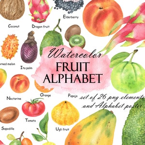 Watercolor Fruit Alphabet Clipart, Fruits ABC, Alphabet Poster, Learning Letters, Nursery Decor, Printable Wall Art PNG 263