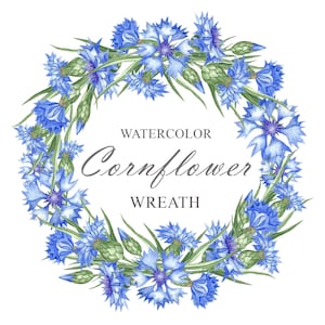 Watercolor Cornflowers Wreath, Meadow Wildflower Round Frame Clipart, Summer Blue Flowers Floral Frame Clip Art PNG 09