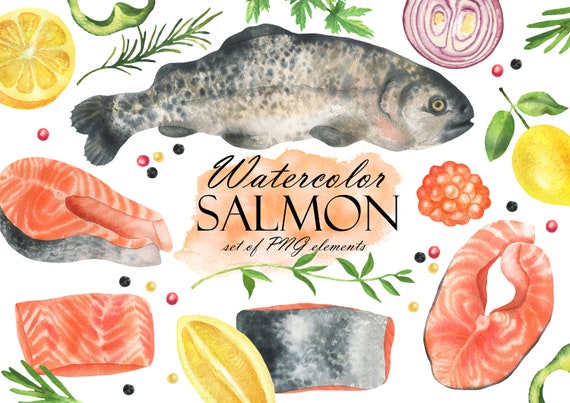 Watercolor Salmon Clipart, Salmon Slice Clip Art, Edible Fish, Cooking Fish,  Food Clipart PNG 269 
