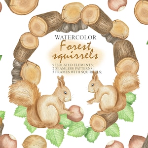 Watercolor Squirrel And Nuts, Forest Animals Clipart, Woodland, Stump, Kids, Nursery Art, Digital Paper PNG 60