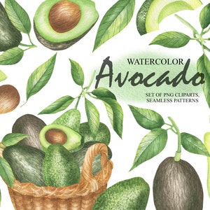 Aquarell Avocado Clipart, tropischen Obst ClipArt, Avocado Druck, Sommer Clipart, gesunde Ernährung, Vegan Essen, Digitalpaper PNG 09