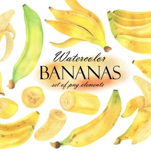 Aquarelle Banana Clipart, Tranches de banane fraîche, Banane jaune Fruits tropicaux, Tropical Fruits Digital Clip Art, PNG 213