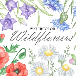 Fleurs sauvages aquarelle Clipart, printemps été fleur marguerite, coquelicots, bleuets, trèfle Clip Art, Floral Clip Art, invitation de mariage PNG 52