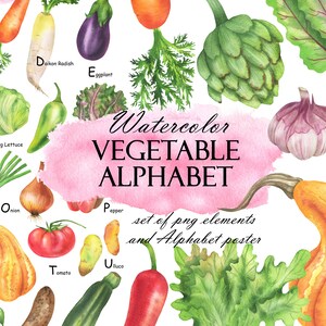 Watercolor Vegetable Alphabet Clipart, Vegetables ABC, Alphabet Poster, Learning Letters, Nursery Decor, Printable Wall Art PNG 261