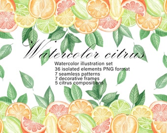 Watercolor Citrus Clipart, Lemon, Orange, Lime (Digital Paper PNG)