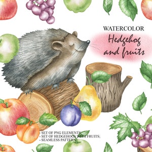Aquarell Igel und Garten Früchte, Baby Wald Tier, Obst ClipArt, Wald, Stump, Kindergarten Kunst, Wand-Dekor PNG 66