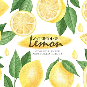 Aquarell Zitrone Clipart, gelbe Zitrus Zitronen Obst Clip Art, Einladung Hochzeit Citrus Scrapbook, nahtlose Muster, PNG 122