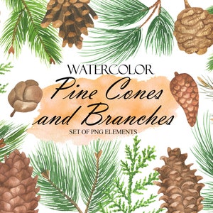 Pommes de pin aquarelle Clip Art, Branches de pin Clipart, Noël verdure Clipart, peint à la main, bois rustique Nature PNG 207