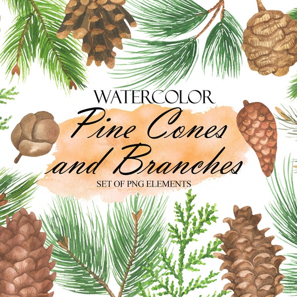 Pine Cones Watercolor Clip Art, Pine Branches Clipart, Christmas Greenery Clipart, Hand Painted, Woodland Rustic Nature PNG 207