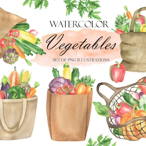 Watercolor Vegetable Clipart, Eco Farm Vegetable, Fresh Vegetables, Healthy Food, Kitchen Recipe PNG 239