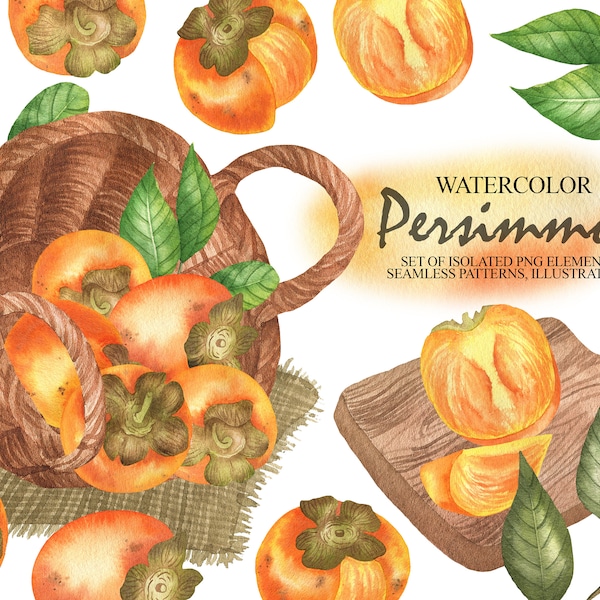 Persimmon Fruit Clip Art, Persimmon Watercolor Painting Botanical Clipart, Orange Fruit Digital Papers and Arrangements PNG 80