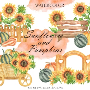 Watercolor Sunflower And Pumpkins Clipart, Pumpkin Illustration, Rustic Clipart, Fall Autumn Set, Instant Download PNG 186