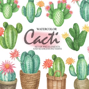 Acuarela Cactus Clipart, Plantas exóticas del desierto tropical con flores rosas en las ollas, invitación de boda, conjunto de tarjetas PNG 37