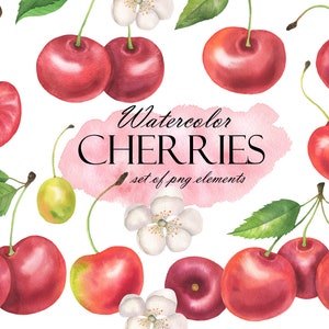Acuarela Clipart de cereza, Rama de cerezas, Bayas y hojas frescas de verano, Fruta de cereza, Imágenes prediseñadas de bayas jugosas, PNG 238