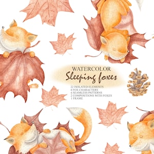 Aquarelle Automne Fox Clipart, Animaux de la forêt, Clipart floral, Champignons, Woodland Planner Clip Art, Feuilles d’automne, Papier numérique PNG 23