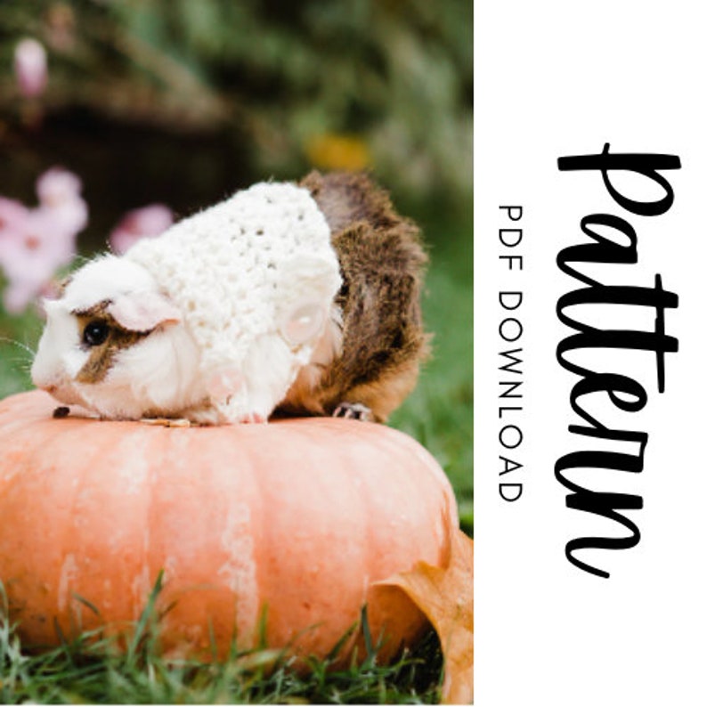 Crochet Guinea Pig Sweater Pattern Downloadable PDF Guinea Etsy