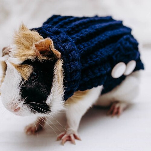 Guinea Pig Sweater Etsy