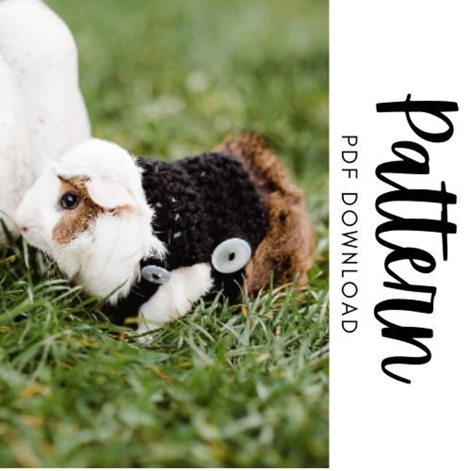 Crochet Guinea Pig Sweater Pattern Downloadable PDF Guinea Etsy