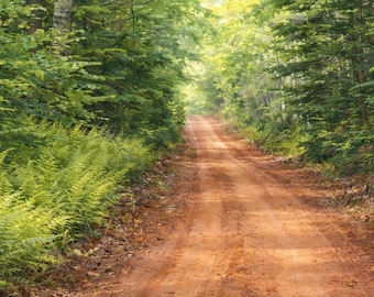 Forest Path Watercolor Print | Cottagecore Woodland Landscape (Digital Download)