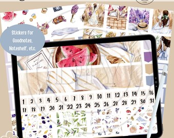 Picnic Digital Stickers | Digital Planner Stickers | Spring Summer Planner Stickers | Goodnotes Stickers | PNG Stickers