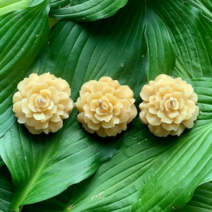 Beeswax flower votive trio
