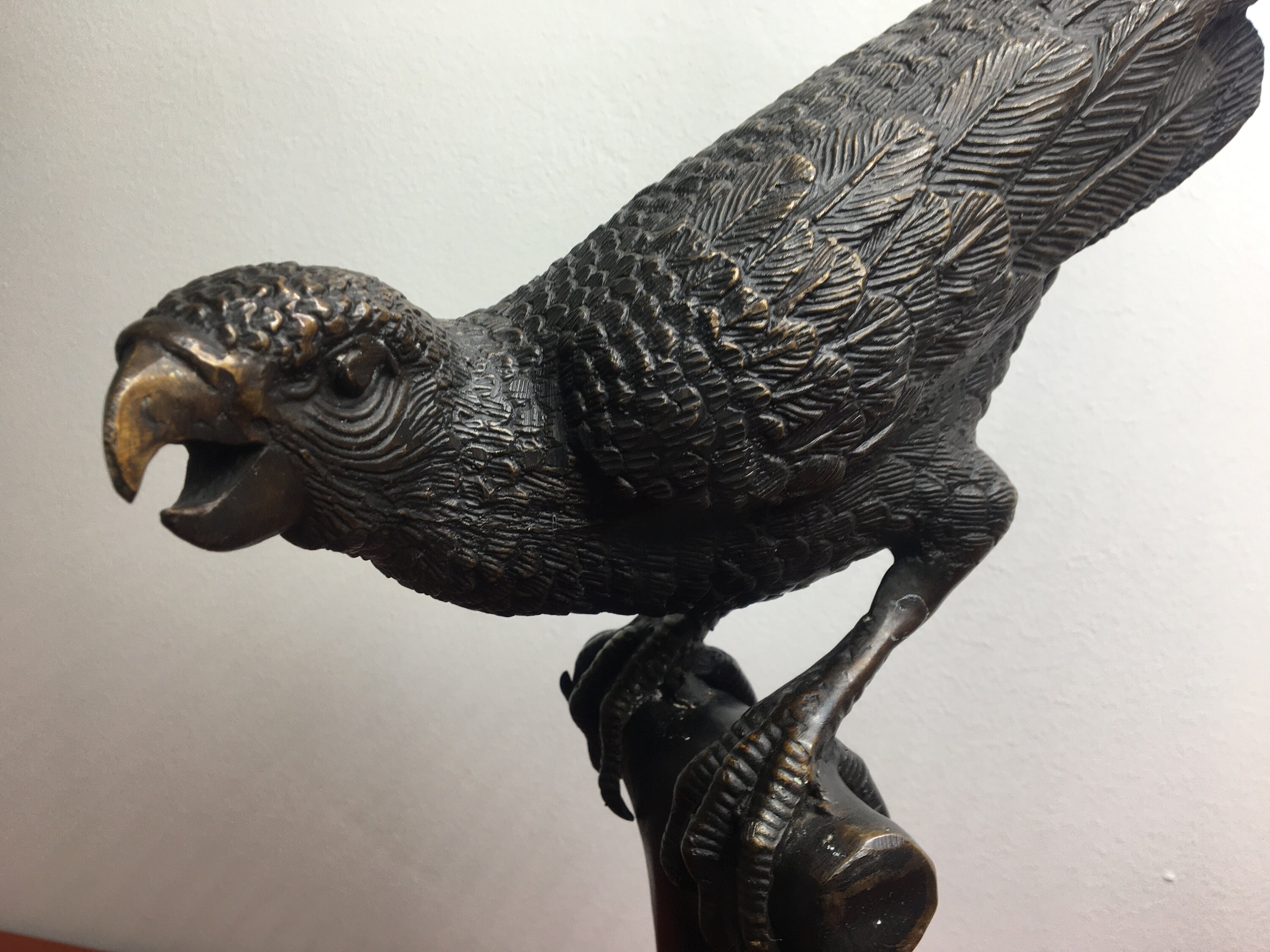macaw parrot statue