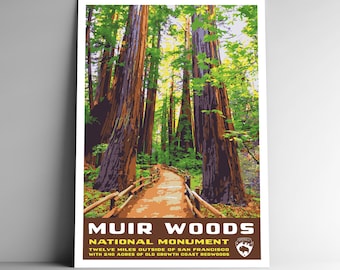 May include: A vintage travel poster for Muir Woods National Monument, featuring a path winding through a grove of towering redwood trees. The poster text reads "Muir Woods National Monument, Twelve miles outside of San Francisco with 240 acres of old growth coast redwoods."