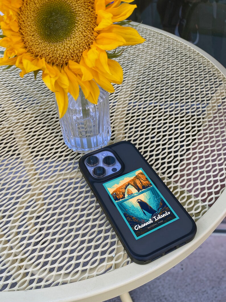 Konsttryck från Kanalöarnas nationalpark | Vintage reseaffisch bild 5