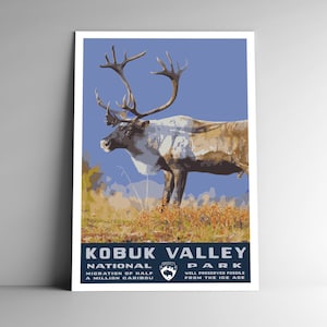 Kobuk Valley National Park Poster de viagem estilo vintage / cartão postal / adesivo / ímã Retro WPA estilo Alaska Rena EUA arte impressa arte de parede