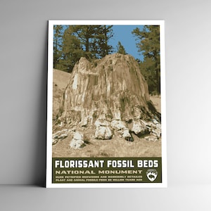 Florissant National Monument Estilo WPA Poster de viagem estilo vintage - 8x10 12x18 18x24 24x36 / 4x6 Cartão postal Colorado EUA Retro US Art Print