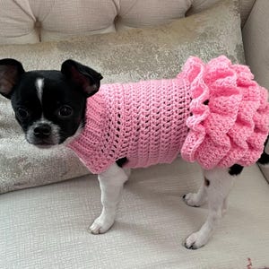 XX Kleiner handhäkelter Haustier-Tutu-Haustierpullover