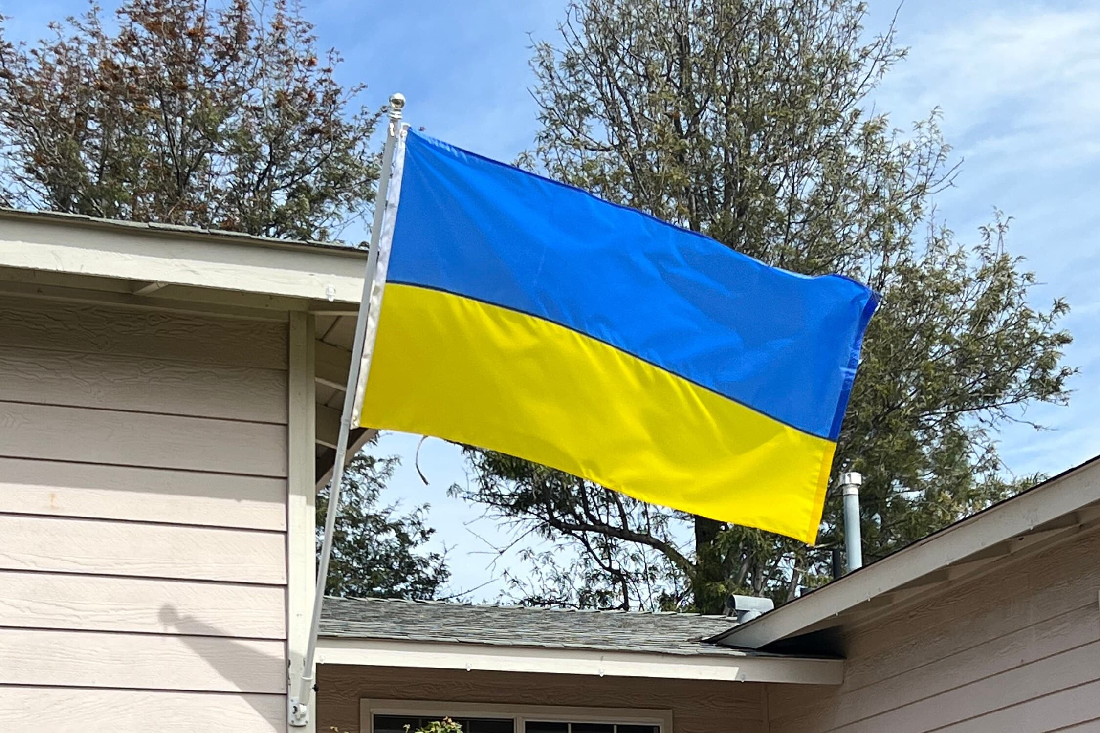 Ukraine National Flag, Pray for Ukraine, Custom Sizes Available - Etsy
