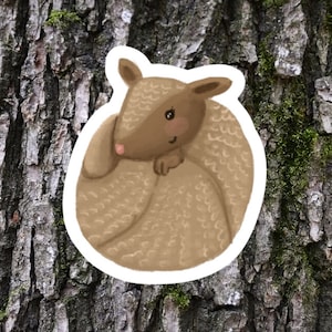 May include: A brown armadillo curled up in a ball, with a cute cartoon face and small pink nose. The armadillo has a textured shell with a light brown color.