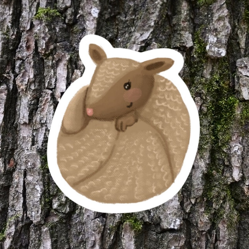 May include: A brown armadillo curled up in a ball, with a cute cartoon face and small pink nose. The armadillo has a textured shell with a light brown color.