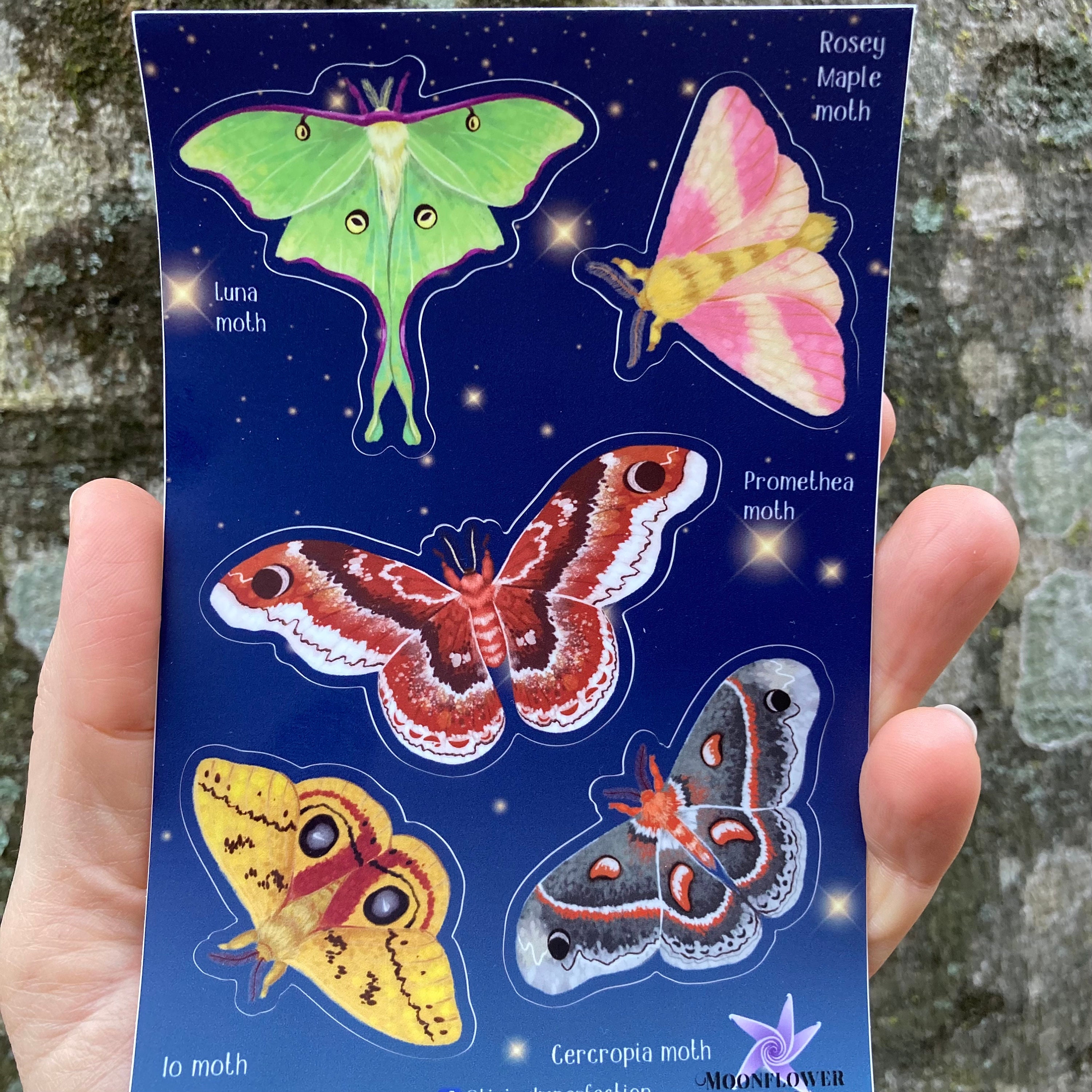 Magnificent Moth Stickers – Holographic Waterproof Vinyl – Store –  Moonflower Press