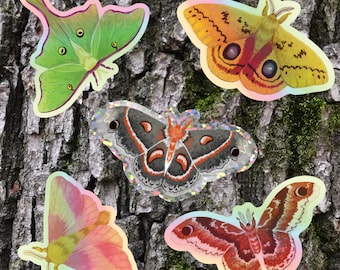 Magnificent Moth Stickers - Vinyl Holo & Multi Sticker Sheets