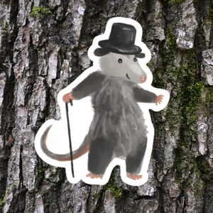 May include: A gray and white opossum wearing a black top hat and holding a walking stick. The opossum is standing on a tree trunk.