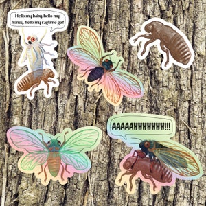 Cicadas - Durable Waterproof Vinyl Stickers