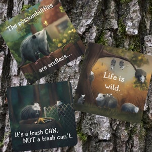 Pegatinas de zarigüeya sabia: vinilo resistente al agua con ilustraciones de Opossum Books de Gina Gallois