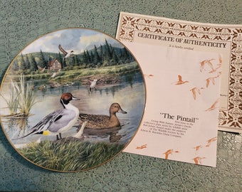 Der Pintail von Bart Jerner Sammlerplatte
