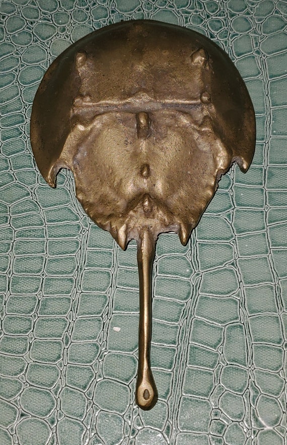 Unique Brass Horseshoe Crab Etsy