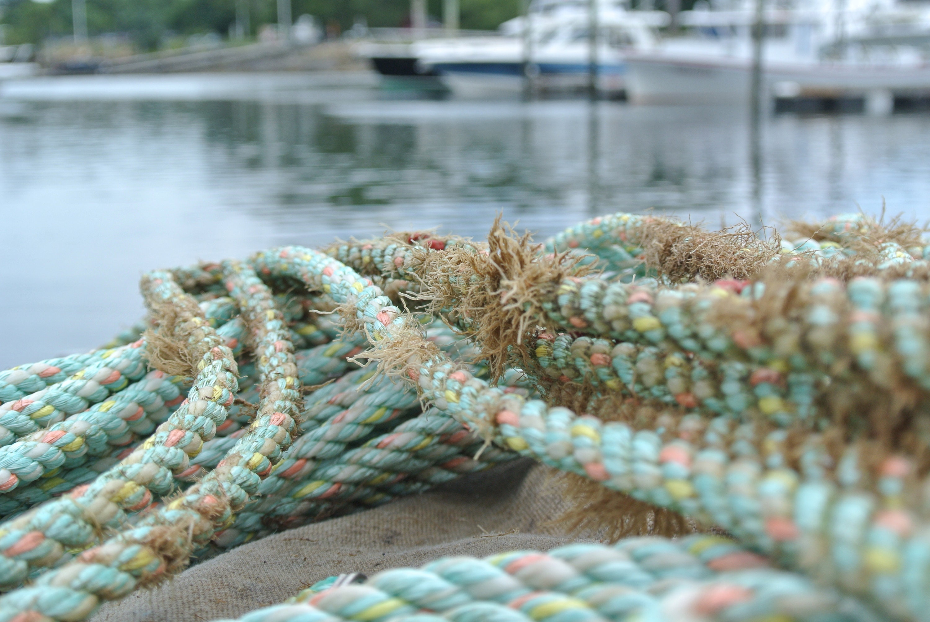Roped Into the Lobster Life // Lobster Rope // Lobster Boat // Etsy