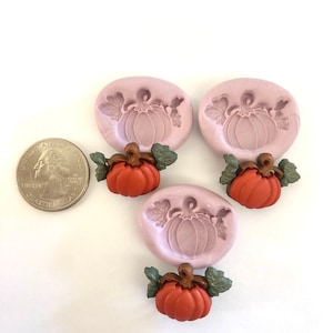 Pumpkin  & Vine Silicone Molds