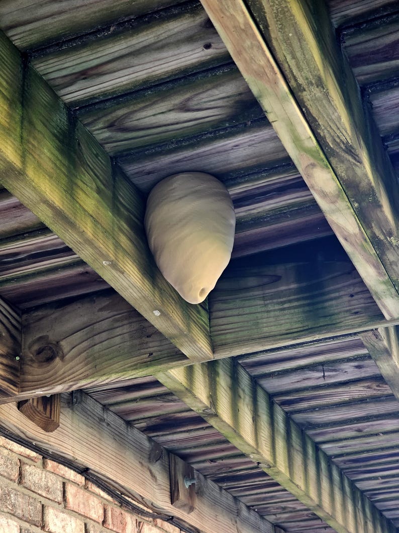 Wilbur’s Finest Decoy Wasp Hornet Nest - Thumbnail 4